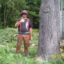 C & A Tree Removal - Tree Service