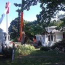 Brown's Tree Service - Tree Service