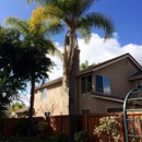 Santiago Tree Service - Tree Service