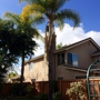 Santiago Tree Service