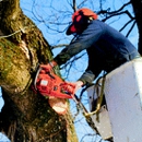 Big Ben's Tree Service - Landscaping & Lawn Services