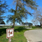 Tule Elk Reserve State Natural Reserve