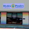 Hydro Ponics of Birmingham gallery