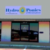 Hydro Ponics of Birmingham gallery