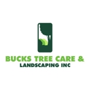 Bucks Tree Care & Landscaping inc - Tree Service