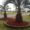 Topsail Moonlight Management LLC gallery
