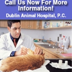 Dublin Animal Hospital PC - Jay Marshall Lord DVM