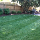 Performance Lawn & Landscape