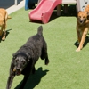 K-9 Dog Kennels gallery