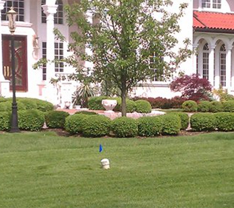 Dom Chiola Landscaping, Co. - Fairview, NJ