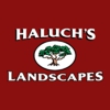 Haluch’s Landscapes of Florida gallery