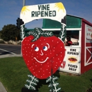 Thacker Berry Farms Strawberry Stand - Farms