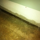 Quality Restoration Services Company - Mold Remediation