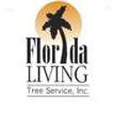 Florida  Living Tree Service - Stump Removal & Grinding