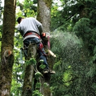 Tree Specialists