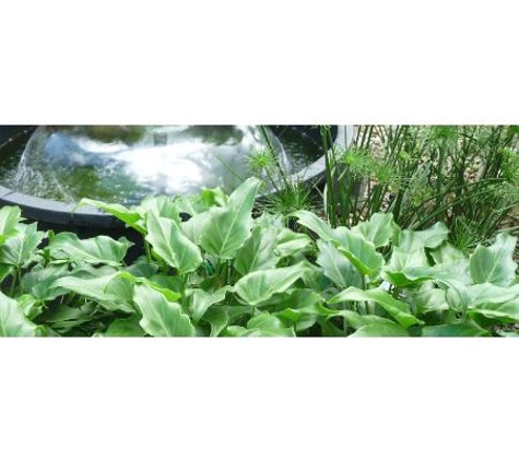 Fernwood Landscape Supplies & Nursery - Fernvale, QLD