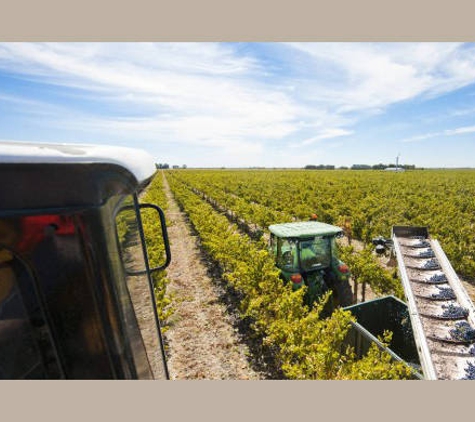 Brands Laira Coonawarra - Coonawarra, SA