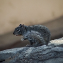 Affordable Pest Control Service - Pest Control Equipment & Supplies