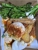 Corner Cafe 26 - Cafes