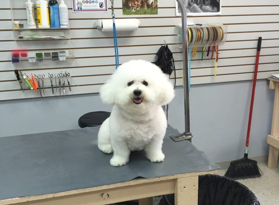 All Paws Pet Grooming - Cleveland, OH