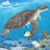 Christopher Smart's Reef Painting gallery