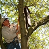 Sonoma-Marin Arborists Inc gallery