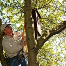 Sonoma-Marin Arborists, Inc. - Arborists