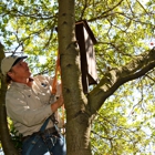 Sonoma-Marin Arborists Inc