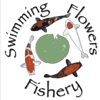 Swimming Flowers Fishery, LLC gallery