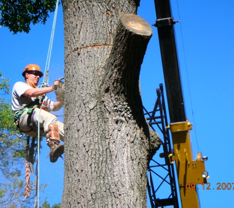 Williams Brothers Tree & Lawn Service - Staunton, VA