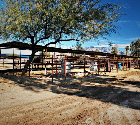 M. WHITE STABLES - Tucson, AZ