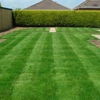 CJS LAWN CARE SERVICE gallery