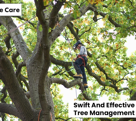 Al's Tree Care - Terrigal, NSW. Swift And Effective Tree Management