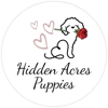 Hidden Acres Puppies gallery