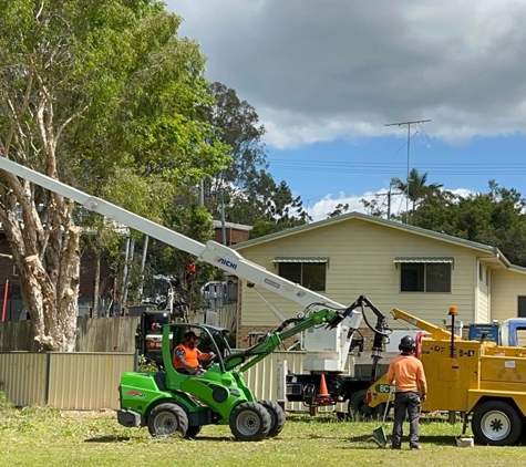 True Blue Tree and Stump Removal - Glass House Mountains, QLD