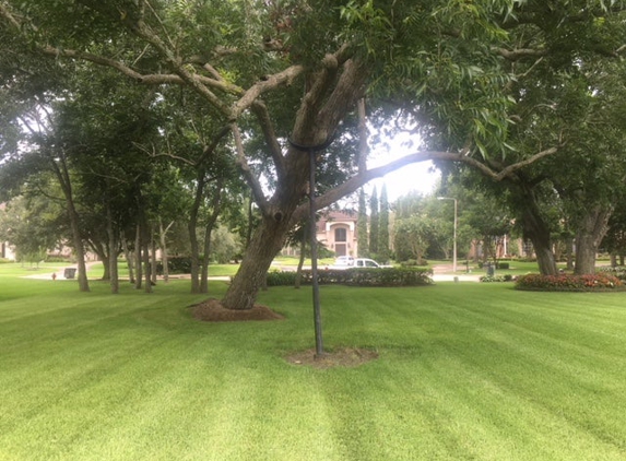 Bay Area Tree Experts - Seabrook, TX