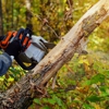 Carroll And Company Tree Service gallery