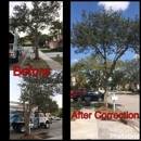 Go Green Affordable Tree Services - Tree Service