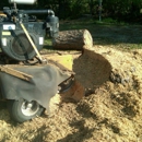 Scott's Stump Grinding - Tree Service