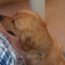 Mercy Crusade Spay Neuter & Wellness Clinic - Veterinarians