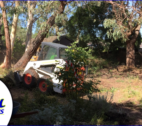 Lethal Excavations - Cheltenham, VIC. Personalised, Competitive Services