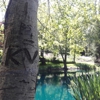 High Sierra Iris & Wedding Gardens gallery
