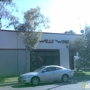 Wills Wing Inc