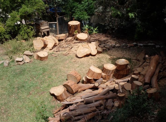 Pro-Lop Tree Service - Highbury, SA