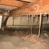 Weldon Termite & Pest Control gallery