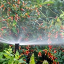 Davidson Irrigation - Sprinklers-Garden & Lawn