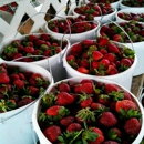 Piedmont Triad Farmers Market - Farmers Market