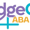 BridgeCare ABA gallery