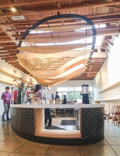 Dinosaur Coffee - a modern coffee house