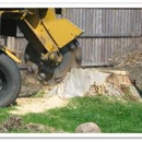 Stump & Grind - Stump Removal & Grinding